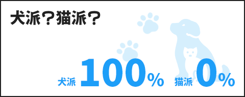 犬派？猫派？